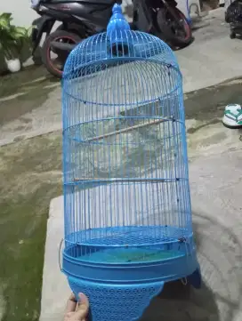 Sangkar LoveBird Besar Istimewa