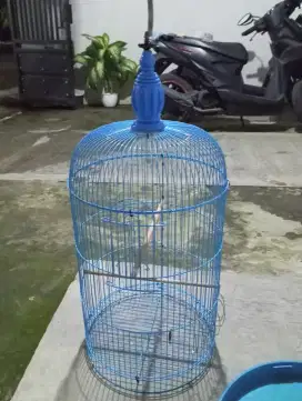 Sangkar LoveBird Boom Mulus
