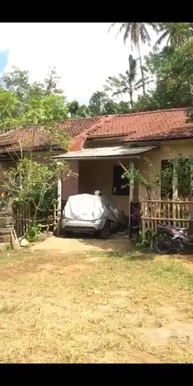 tanah buat rumah sederhana