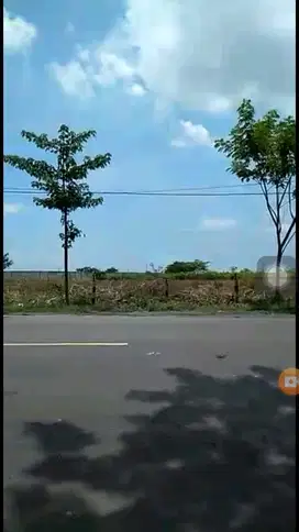 Tanah Raya Nasional Mrutuk Utara Widang Tuban Murah SAM.YA5374