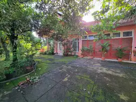 [ Murah jual Cepat] Rumah Asri Halaman Luas Cinere Estate
