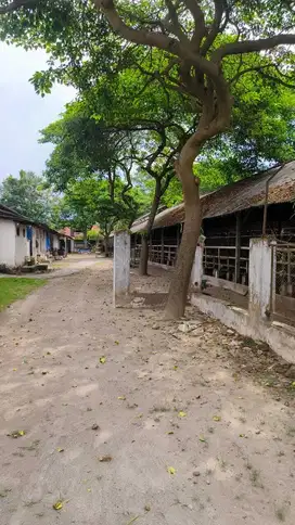 Gudang dan tanah luas di Blitar