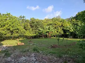 Land for rent ukuwatu pecatu