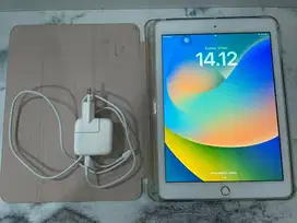 Ipad 6 gen 256GB Selular + Wifi