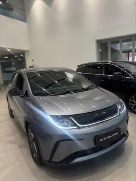 BYD DOLPHIN STANDARD 2024