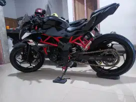 Ninja Z 250 SL lengkap hidup