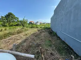 DIJUAL TANAH KOSONG SIAP BANGUN LOKASI JALAN SEDAP MALAM