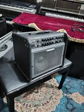 Ampli gitar fishman