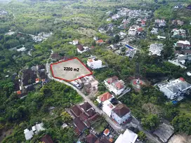 Tanah uluwatu pecTu 2200m2