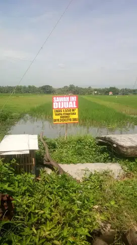 DIJUAL SAWAH LOKASI STRATEGIS DI PEREMPATAN SEDAYU YOGYAKARTA