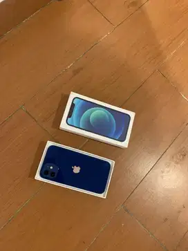 iphone 12 256gb name apple