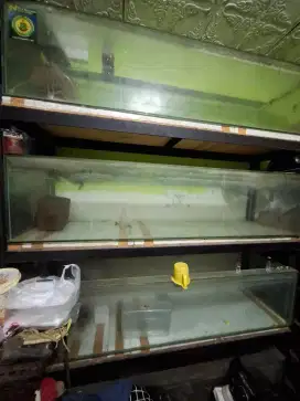Rak aquarium second