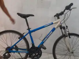 Sepeda Polygon Monarch 3.0