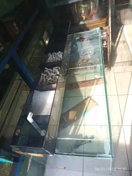Aquarium 60cm atau costem all size