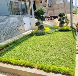 Mnrima bikinan taman berkualitas percantik halaman