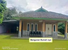 Di Jual Rumah Vila Dan Kolam Ikan Murah