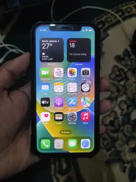 iPhone X 256GB Grey Wifi Only