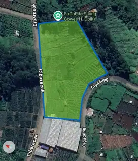 JUAL LAHAN KEBUN DI CIWIDEY BANDUNG SELATAN