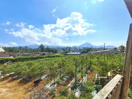 Dijual Tanah Padat Luas 3220 Meter Di  Pangalengan Bandung Barat