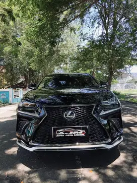 Lexsus NX300T tahun 2021 nopol BL ASLI