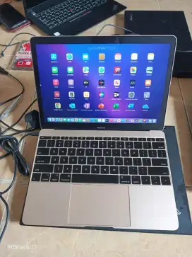 Macbook retina 12 inch 2017 grey
