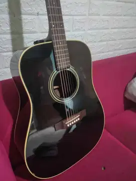 Gitar Akustik Takamine D-Series