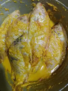 Ikan marinasi,siap goreng