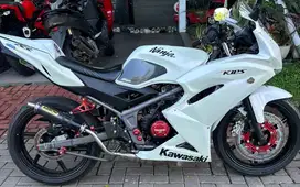Kawasaki Ninja RR New 150 2013