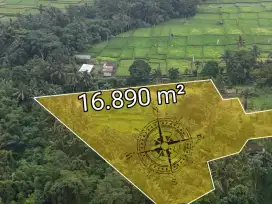 Tanah Murah Link Villa Resort Kedewatan Ubud Bali