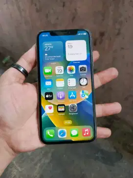 iPhone X 256GB iBox