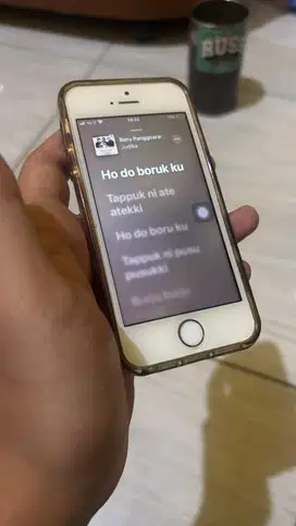 Iphone se gen 1 2016