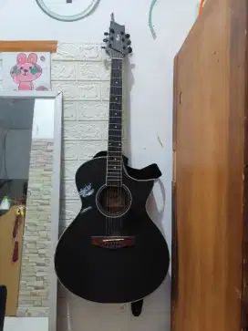 Gitar custom cort akustik string