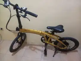 Pacifik Noris 1.0 Gold Limited Edition