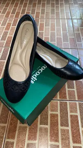 Wedges Crocodile