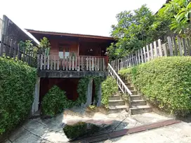 Rumah Nyentrik di Dalam Perumahan Yang  Sudah Berkembang