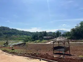 Jual Tanah Murah Bogor Nuansa Alam Agroeduwisata