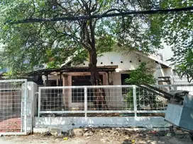 Murah Rumah di Setia Budi Jakarta Selatan Masih Bagus