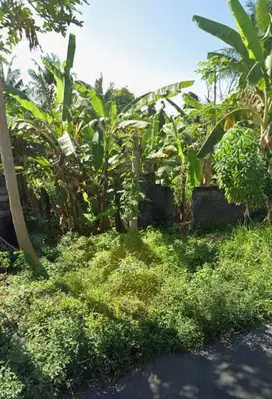 DIJUAL TANAH LOKASI GIANYAR BLAHBATUH