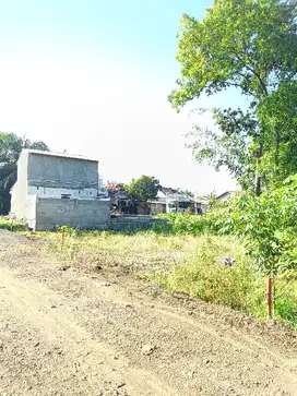 Tanah kavling darat strategis & jarang ada desa karangmalang  brebes