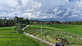 jual tanah zona pariwisata luas kecil di tabanan  bali