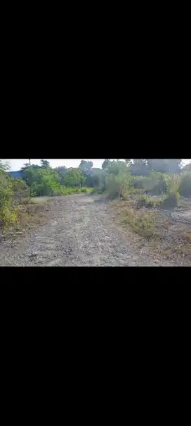 disewakan tanah di gunung sindur