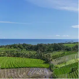 Di jual tanah dekat pantai cocok untuk villa atau hunian