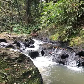 Di jual tanah luasan kecil view sungai dan jungle di tabanan