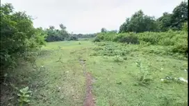 Tanah Pengambengan Pinggir Jalan Utama Kontur Rata