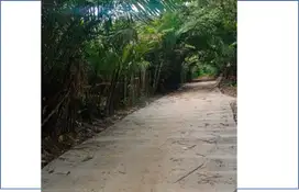 DIJUAL TANAH 700 M DARI JALAN BESAR DI KM 21