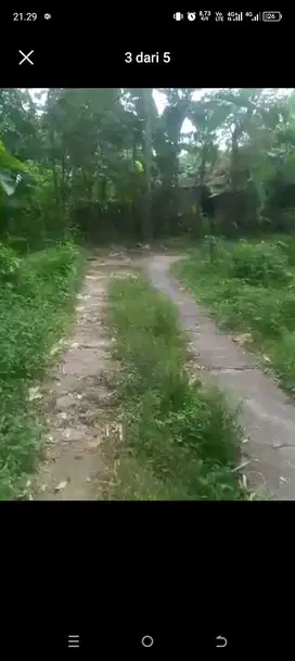 Dijual tanah SHM pekarangan di selatan candi ratu Boko dkt Prambanan
