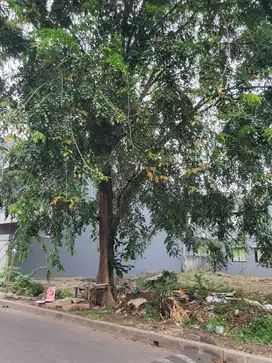 Jual Tanah Taman Surya 5 di Kalideres Jakarta Barat