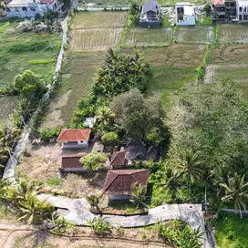 hit sale tanah singerta ubud bali