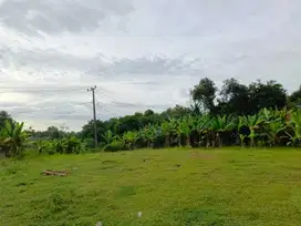 500 Rb-an Kavling SHM Area Cibarusah. View Sawah & Bukit