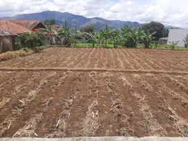 Dijual tanah kebun Dekat kantor Polsek Cimaung